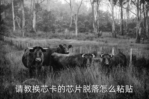 etc芯片卡掉了怎么辦，請教換芯卡的芯片脫落怎么粘貼