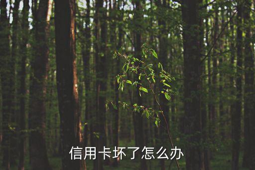信用卡壞了怎么辦