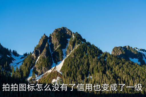拍拍網(wǎng)上怎么沒有信標(biāo)志了，我的拍拍買家信用度為什么不在QQ面板顯示了拍拍買家的圖標(biāo)也不