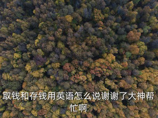 取錢(qián)和存錢(qián)用英語(yǔ)怎么說(shuō)謝謝了大神幫忙啊