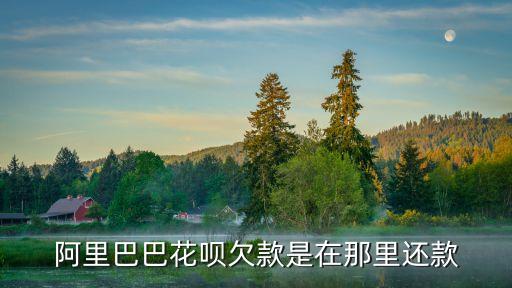 阿里巴巴花唄欠款是在那里還款
