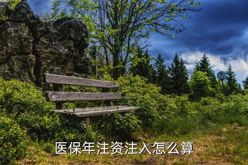 醫(yī)保年注資注入怎么算