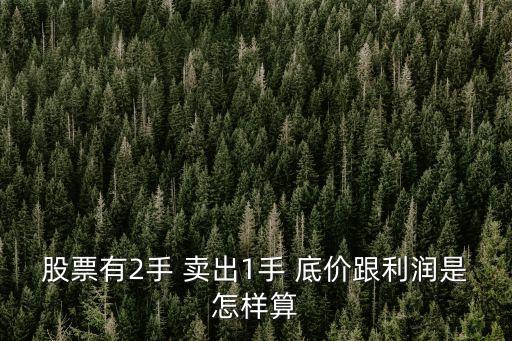 怎么計(jì)算股票的底價(jià)，股票有2手 賣出1手 底價(jià)跟利潤(rùn)是怎樣算
