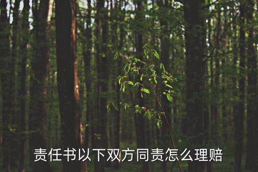 責(zé)任書以下雙方同責(zé)怎么理賠