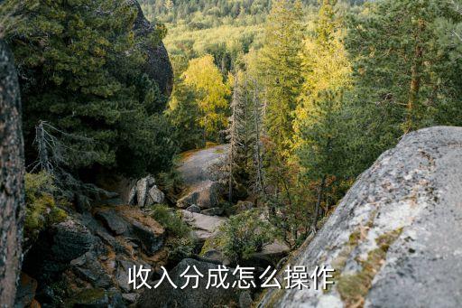 工資拆分怎么做，Excel 怎樣拆分工資