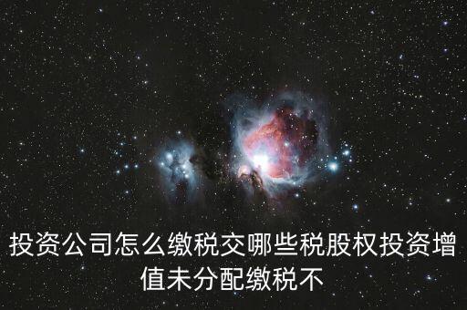 投資公司怎么納稅，投資理財(cái)公司怎么交稅