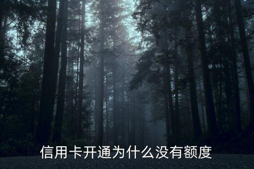 信用卡開通為什么沒有額度
