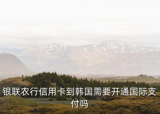 銀聯(lián)農(nóng)行信用卡到韓國需要開通國際支付嗎
