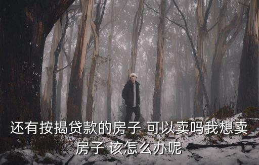 賣房子有房貸的怎么辦，房子產(chǎn)證什么都沒(méi)下來(lái)還有房貸現(xiàn)在要賣房該怎么辦我沒(méi)錢還貸