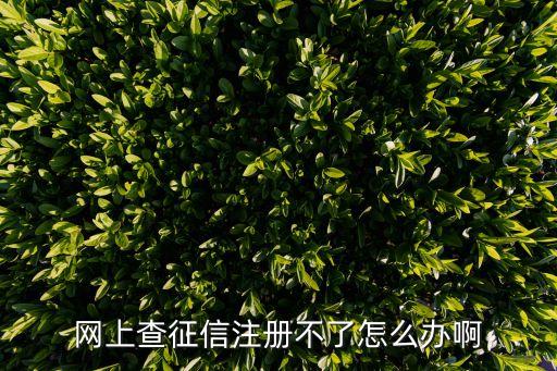 網(wǎng)查征信未通過怎么辦，網(wǎng)上查征信注冊不了怎么辦啊