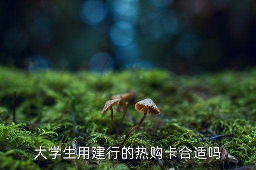 大學(xué)生用建行的熱購卡合適嗎