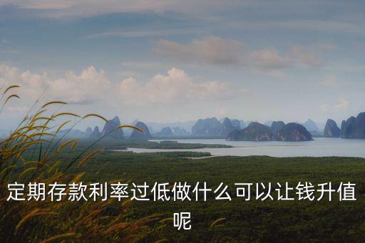 定期存款利率過低做什么可以讓錢升值呢