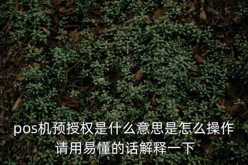 pos機預(yù)授權(quán)是什么意思是怎么操作 請用易懂的話解釋一下