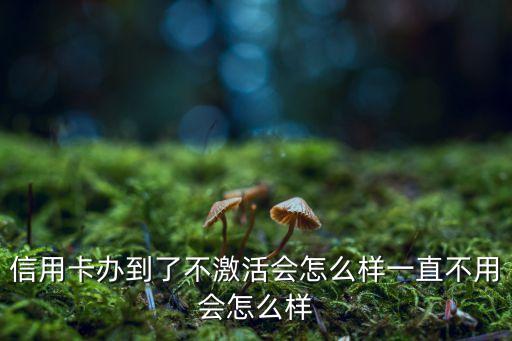 信用卡辦到了不激活會怎么樣一直不用會怎么樣