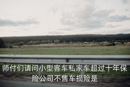 車輛超過10年車損險怎么辦，請問超過10年的車還能夠買車損險及不計免賠嗎全保呢