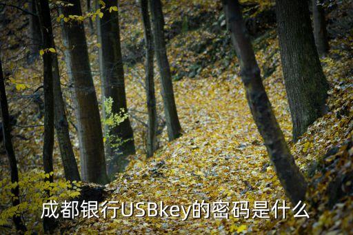 成都銀行USBkey的密碼是什么