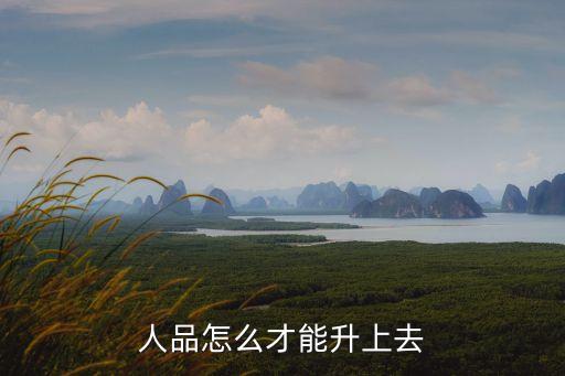 人品卡怎么升級(jí)，范特西30怎么快速升級(jí)呢
