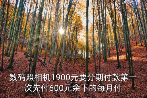 相機分期怎么算，想買一款相機想建設(shè)分期付款怎么算還清時一共要付多少錢