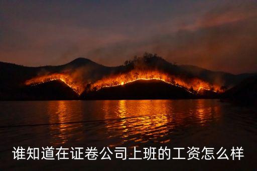 證券公司的工資待遇怎么樣，有誰知道證券公司的待遇怎么樣 高分求