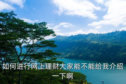 在網(wǎng)上怎么投資理財(cái)，如何進(jìn)行網(wǎng)上理財(cái)大家能不能給我介紹一下啊