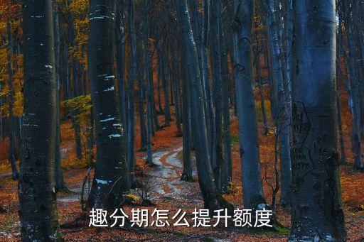 趣分期怎么提升額度