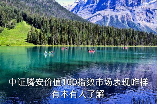 中證騰安價(jià)值100指數(shù)市場(chǎng)表現(xiàn)咋樣有木有人了解