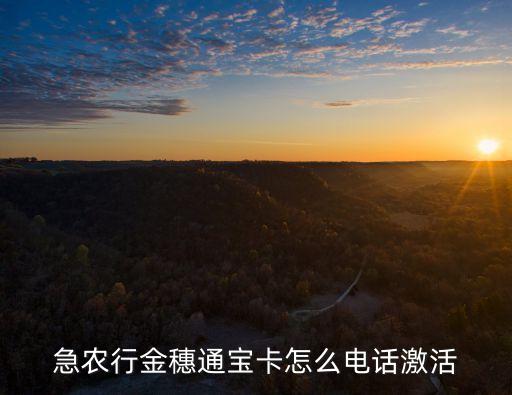 急農(nóng)行金穗通寶卡怎么電話激活