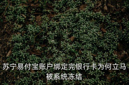蘇寧易付寶賬戶綁定完銀行卡為何立馬被系統(tǒng)凍結(jié)