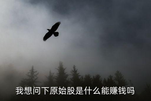 我想問(wèn)下原始股是什么能賺錢嗎