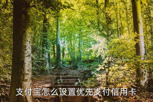 支付寶怎么設(shè)置優(yōu)先支付信用卡