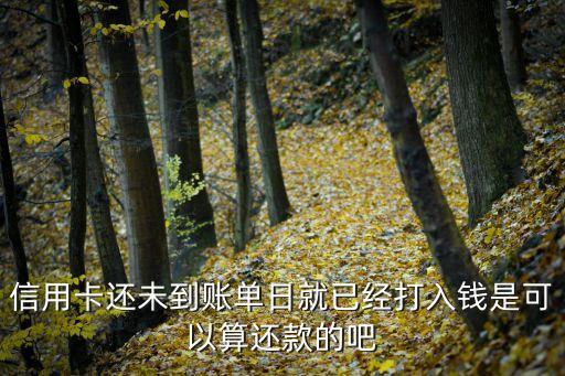 信用卡還未到賬單日就已經(jīng)打入錢(qián)是可以算還款的吧