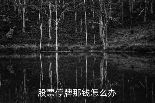 股票停牌那錢怎么辦