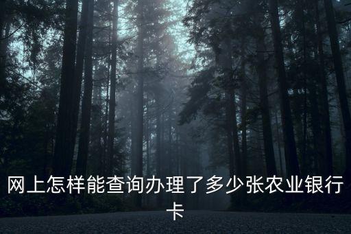 網(wǎng)上怎樣能查詢辦理了多少?gòu)堔r(nóng)業(yè)銀行卡