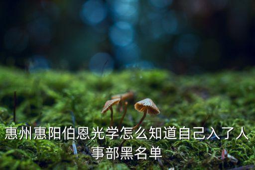 惠州惠陽伯恩光學(xué)怎么知道自己入了人事部黑名單
