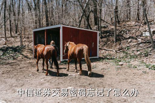 中信證券密碼怎么找回，證券賬戶密碼忘記怎么辦