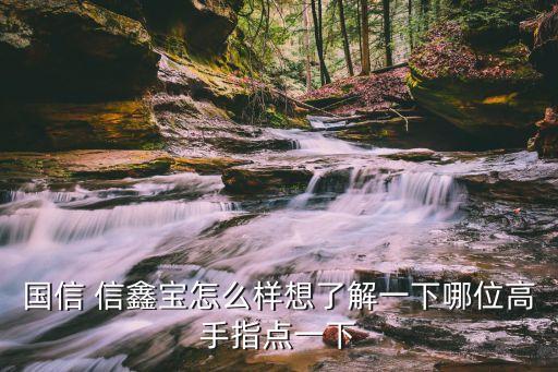 國(guó)信 信鑫寶怎么樣想了解一下哪位高手指點(diǎn)一下