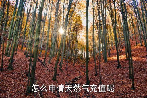 燃?xì)庠趺闯湓阢y行，怎樣在網(wǎng)上或者用銀行卡充值煤氣費 我在蘇州