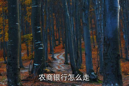 農(nóng)商銀行怎么走