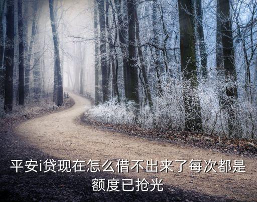 平安i貸現(xiàn)在怎么借不出來了每次都是額度已搶光