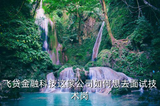 中興飛貸待遇怎么樣，飛貸怎么樣