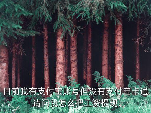 工薪寶怎么提現(xiàn)，目前我有支付寶賬號但沒有支付寶卡通請問我怎么把工資提現(xiàn)