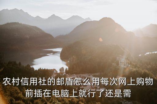 農(nóng)村信用社的郵盾怎么用每次網(wǎng)上購物前插在電腦上就行了還是需