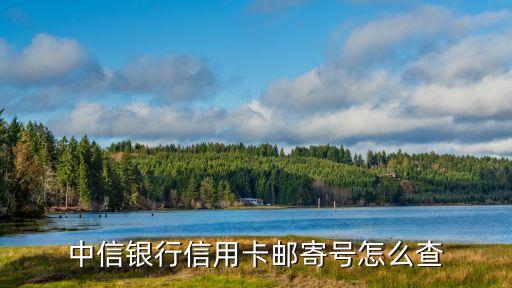 中行信用卡郵寄怎么查詢，中信銀行信用卡郵寄號怎么查