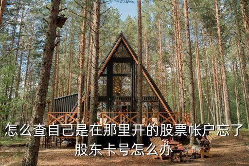 怎么查股東賬戶嗎，申萬的交易系統(tǒng)中如何看出自己的股東帳號(hào)啊