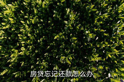 房貸忘記還款怎么辦