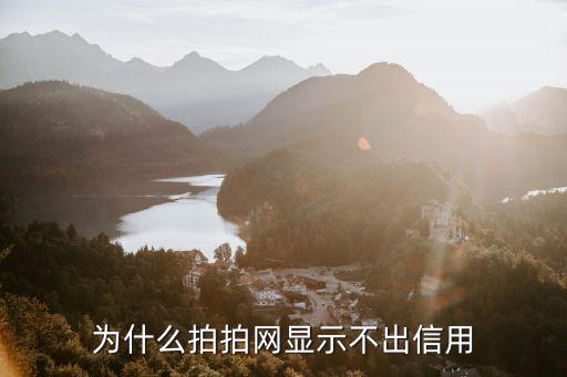 為什么拍拍網(wǎng)顯示不出信用