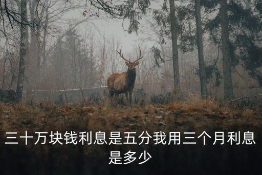 三十萬塊錢利息是五分我用三個月利息是多少