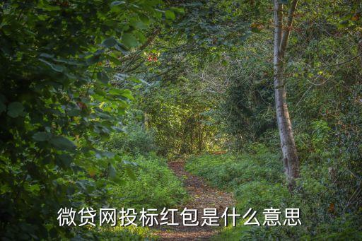 微貸網(wǎng)紅包怎么用，微貸網(wǎng)投標(biāo)紅包是什么意思