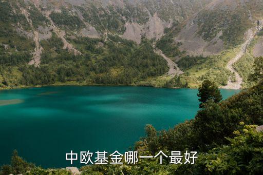 中歐基金混合基金怎么樣，中歐基金怎么樣