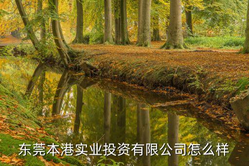 東莞君融投資有限公司怎么樣，東莞本港實(shí)業(yè)投資有限公司怎么樣